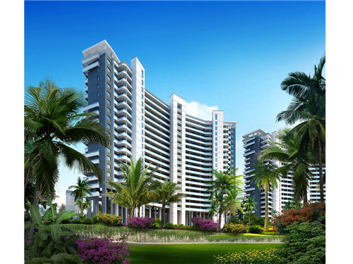 歪果仁煎饼果子