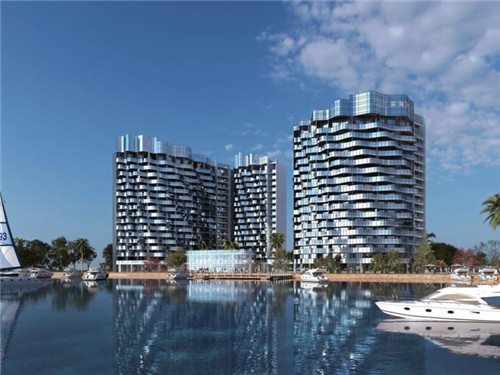 佰瑞德无糖蛋糕