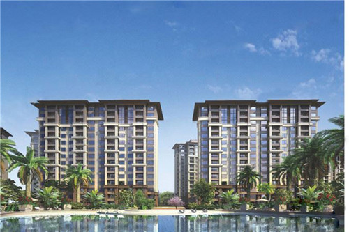 年轻的鸡即鲍汁焖鸡