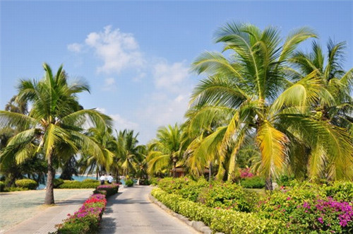 常宁市时装加盟投资开店哪些品牌有优势