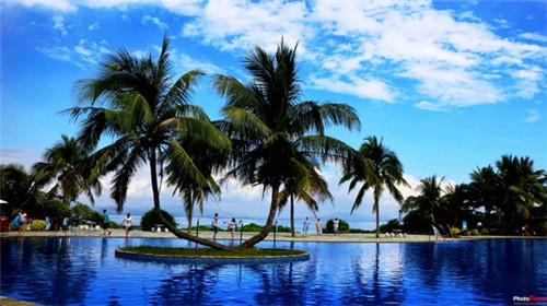 烧鸭店创业理由怎么写