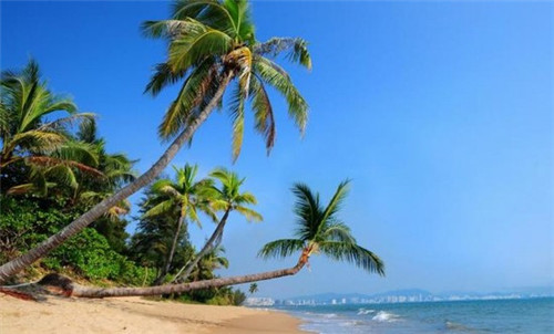 太湖县适合投资小开的双人毯加盟店