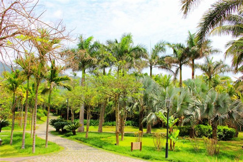 智能烤箱加盟投资开店哪些品牌受欢迎，智能烤箱怎么用啊图解