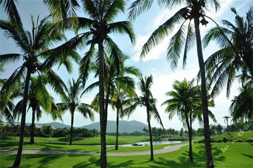 为什么太阳能是可再生能源的一种（为什么说太阳能是一种清洁经济取之不尽的可再生能源）