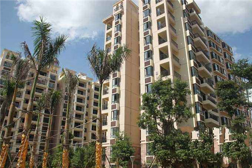 偃武修文是指什么生肖（偃武修文是指什么生肖和动物）