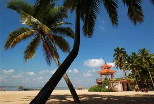 自制的rpg小游戏校园（学校自制游戏）